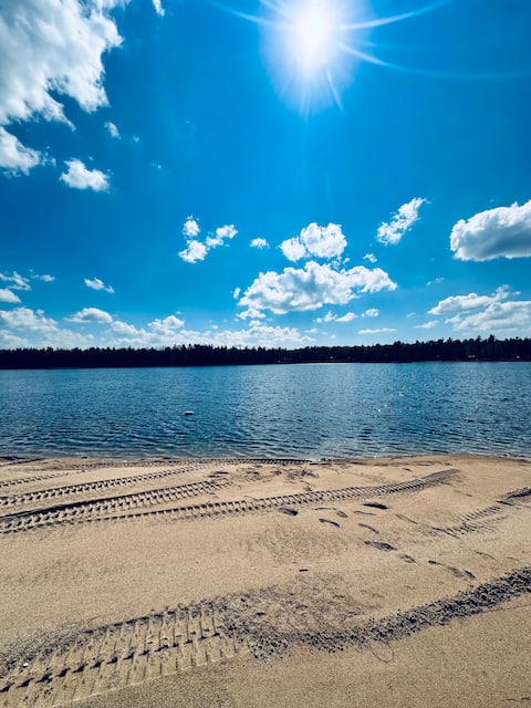 Serene wooded beachfront escape - The Noble Bear