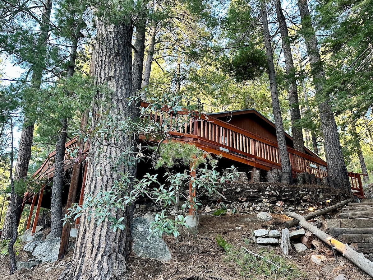 The rustic cabin is nestled among mature pine trees, featuring a new expansive deck that enhances the outdoor living space. Natural stone outlines the base of the cabin, while a set of stairs leads up to the entrance, offering a serene woodland setting.