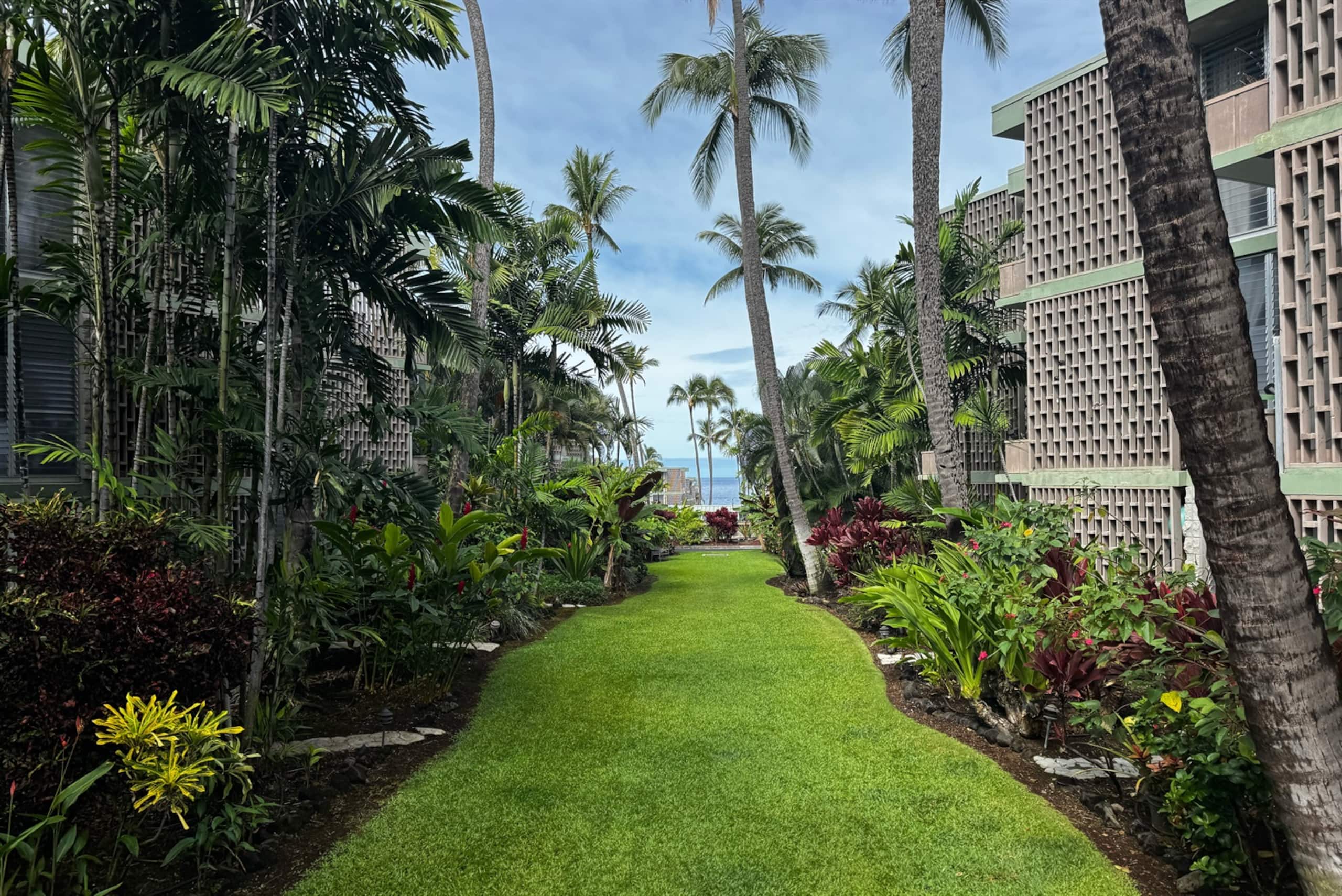 Condo in Kailua-Kona · ★4.86 · 1 bedroom · 2 beds · 1 bath - Image 17