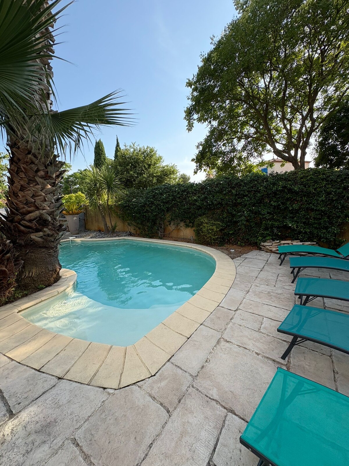 A private swimming pool is surrounded by neatly arranged lounge chairs on a stone patio. Lush greenery and tall palm trees provide natural privacy, while sunlight reflects off the clear water, creating a peaceful outdoor space.
