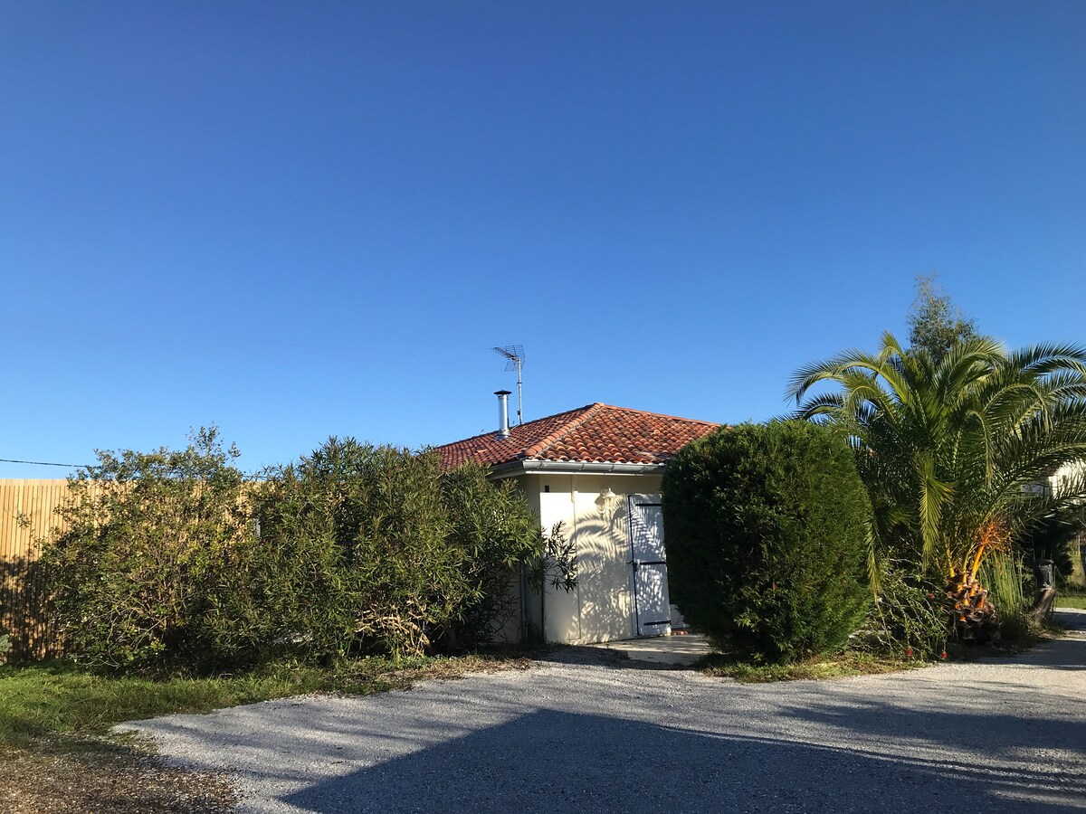 The exterior of a single-story building is shown, featuring a clay tile roof and surrounded by greenery. Dense shrubs and palm trees frame the entrance, while a gravel path leads to the front door, set against a clear blue sky.