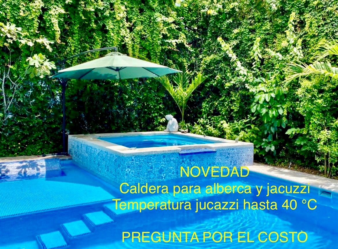 A tranquil pool area surrounded by lush greenery showcases a jacuzzi and swimming pool. The jacuzzi, designed for comfort, features a rich blue tile finish, while a large umbrella provides shade. Clear blue water reflects the surrounding plants, creating a soothing outdoor retreat.