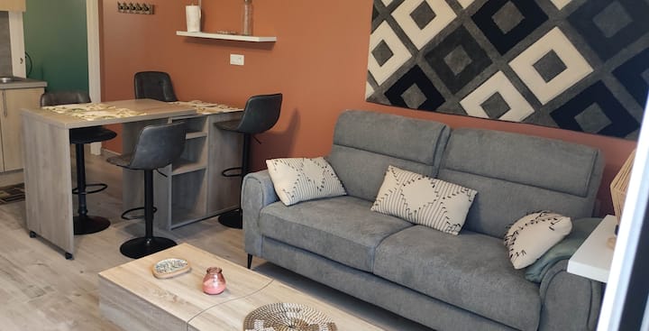 Le Cosy De Saint Mo - Miribel