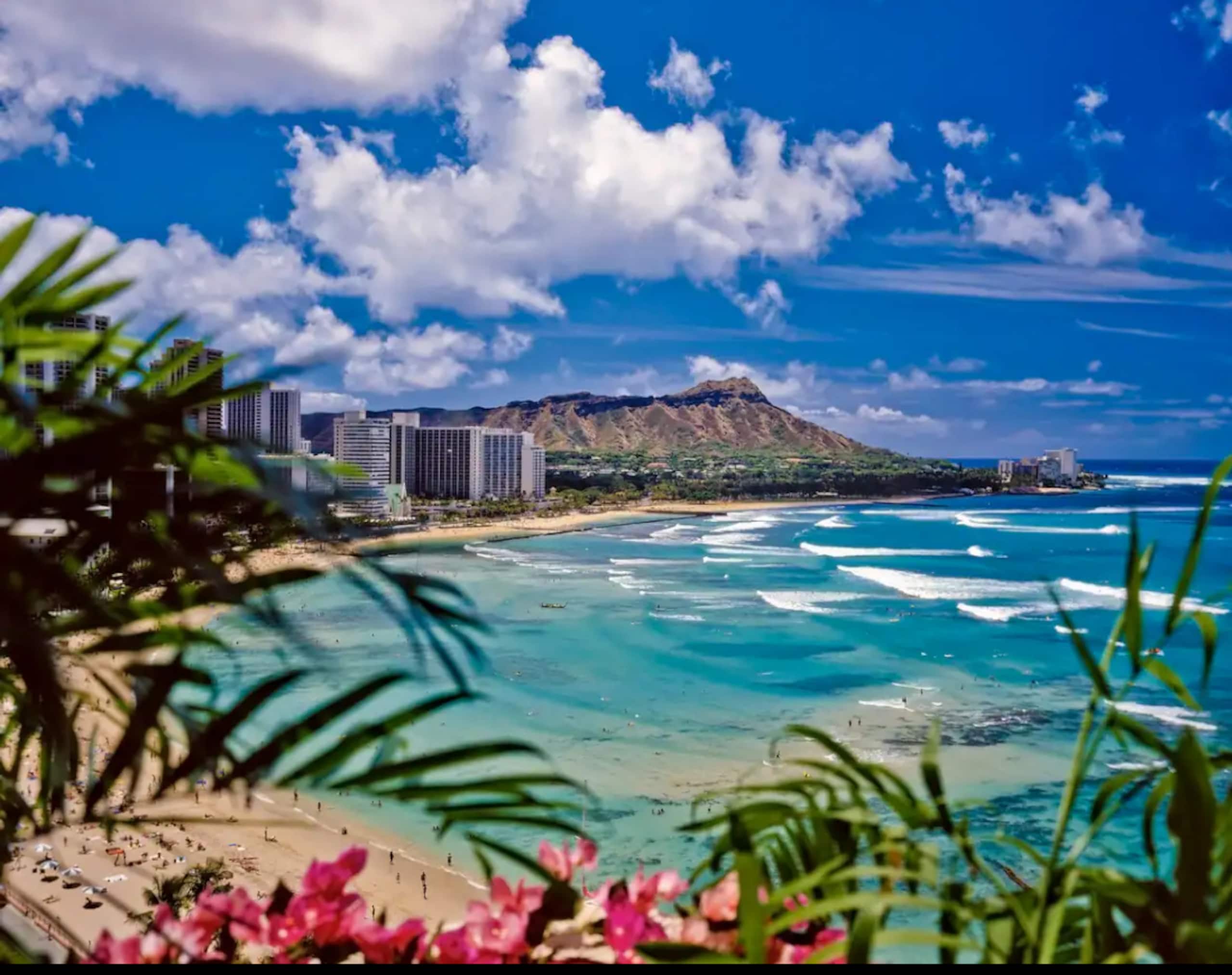 Aloha Luxe in Waikiki/convention center/oceanfront - Image 14