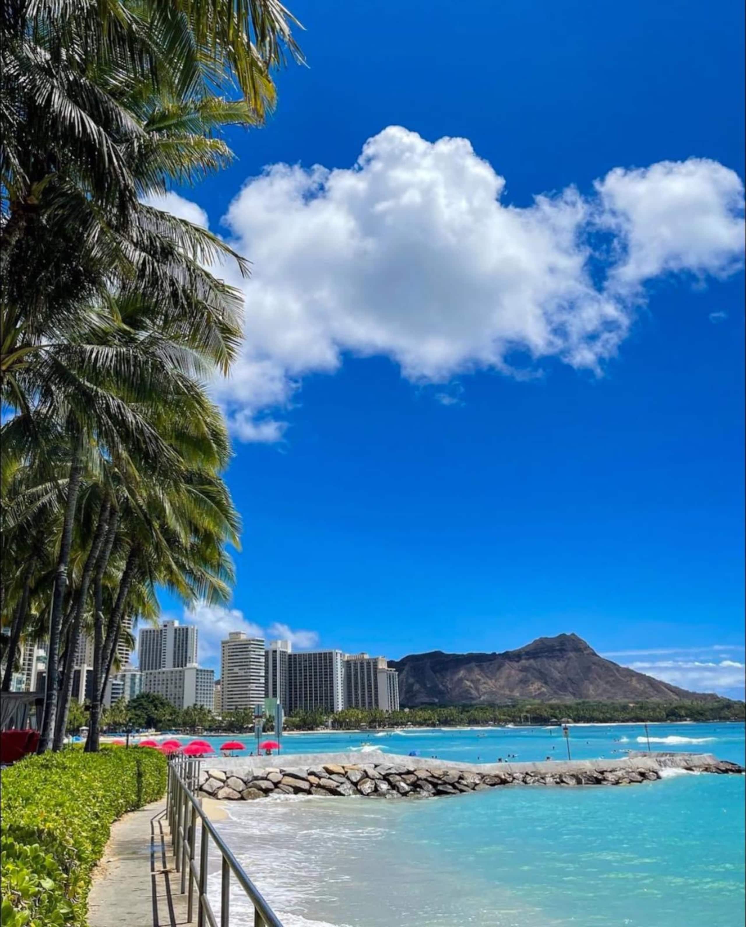 Aloha Luxe in Waikiki/convention center/oceanfront - Image 16