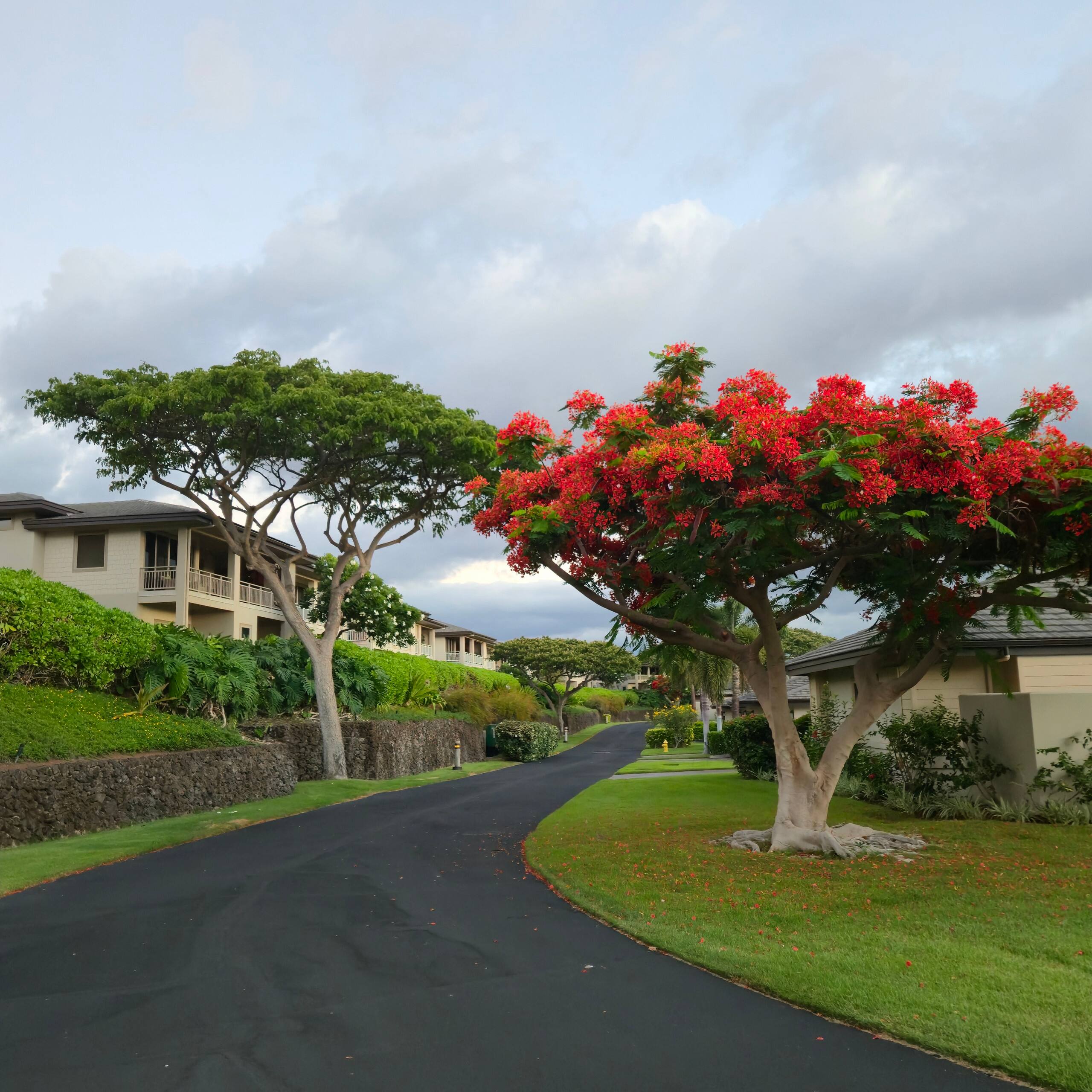 Home in Waimea · ★4.98 · 3 bedrooms · 4 beds · 3.5 baths - Image 93