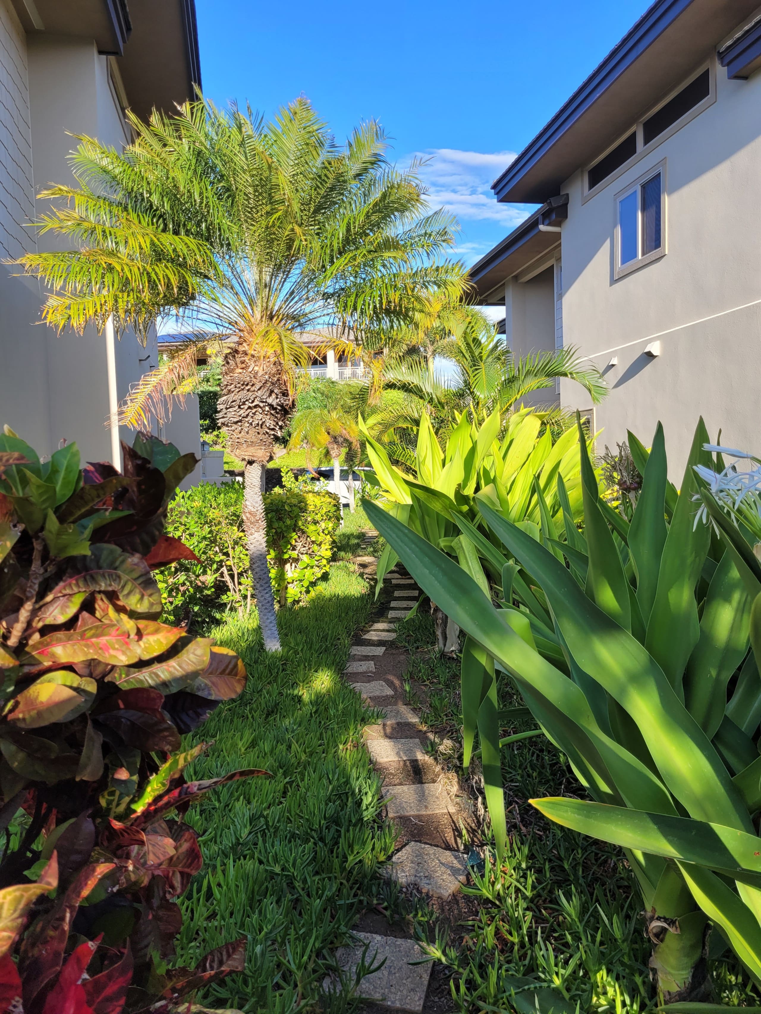Home in Waimea · ★4.98 · 3 bedrooms · 4 beds · 3.5 baths - Image 62