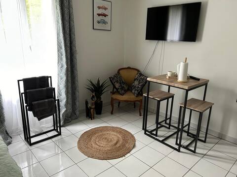 Quiet independent studio near Paris Saclay