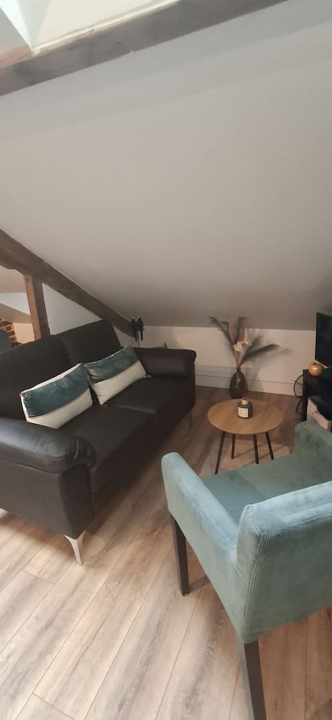 Top performing Airbnb: "Le Nid Douillet de la TA" in a quiet part of the city center. in Rennes