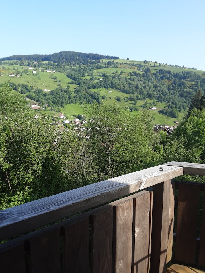 Le Chalet Des Biches - La Bresse