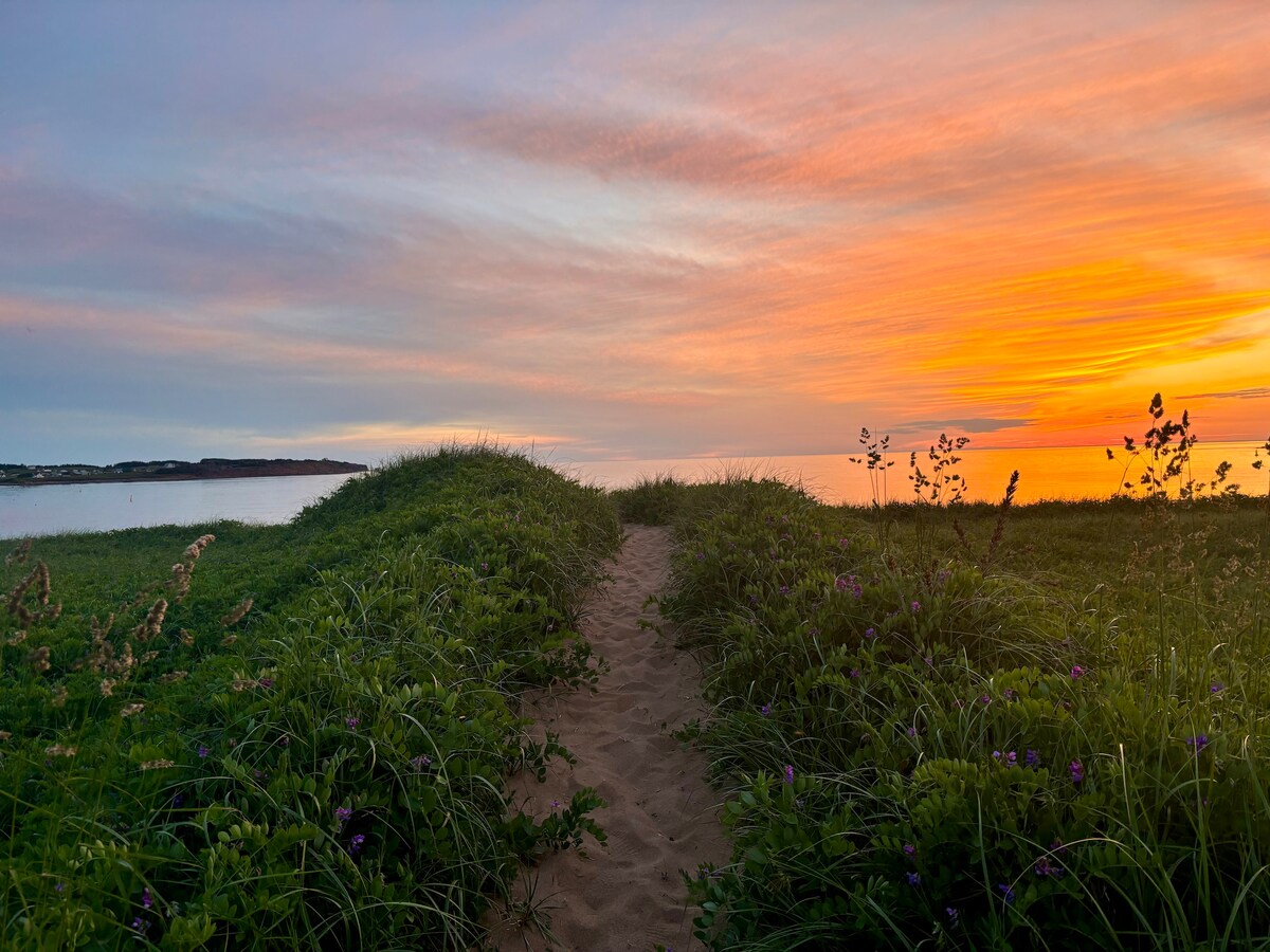 A sandy path meanders through lush green grass, leading towards a serene horizon where the sun sets. Vivid shades of orange and pink paint the sky, reflecting on the calm waters. Wildflowers are interspersed among the grass, adding a touch of color to the landscape.
