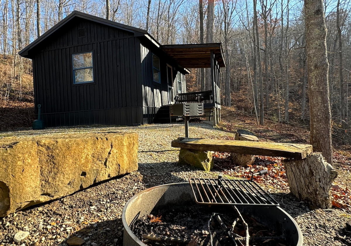 The exterior of a black cabin is highlighted amidst a wooded landscape, featuring a grilling area and a stone fire pit. A wooden bench and a gravel path add to the serene outdoor setting, surrounded by trees shedding autumn leaves.