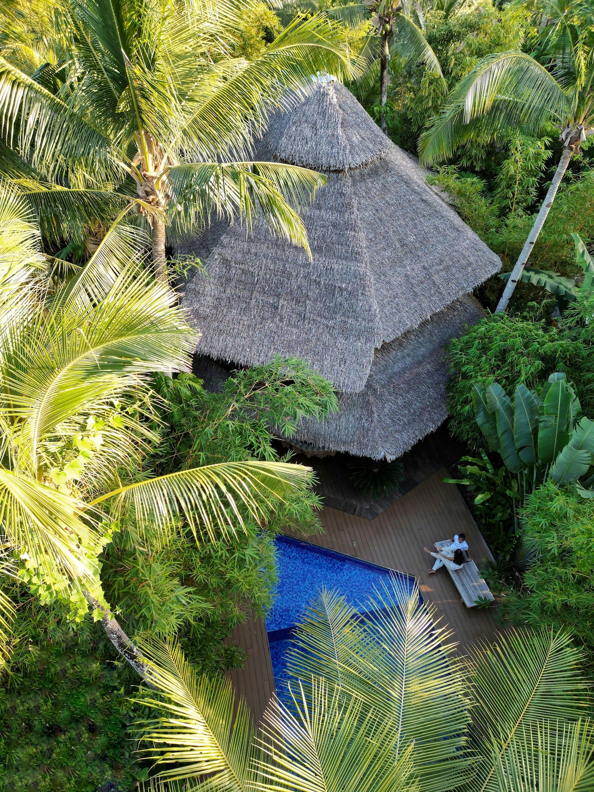 A thatched-roof structure is nestled among lush tropical plants, with a clear blue pool visible in the foreground. Tall palm trees frame the scene, creating a natural and serene environment for relaxation and connection with nature.
