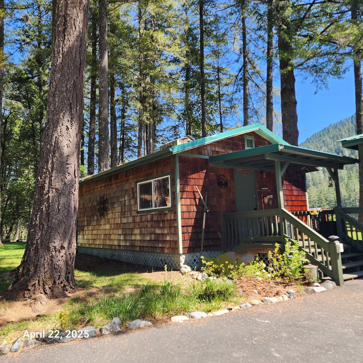A wooden cabin with a shingled exterior is set against a backdrop of tall conifer trees. The porch features a green railing, with a few steps leading up to the entrance. Sunlight filters through the trees, illuminating the cabin's rustic charm.