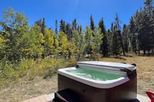 Foxtail Cabin rental in Fairplay
