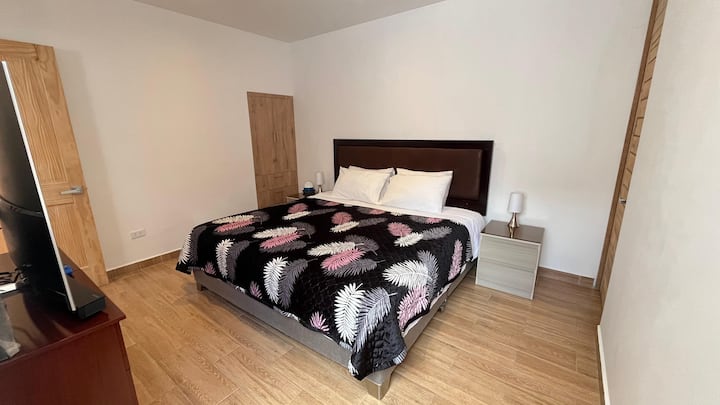 ЛЕГЛО С РАЗМЕР KING SIZE с ПРЕМИУМ матрак и 4 възглавници, тази стая има ЗАТЪМНЯВАЩИ завеси и ДОМАШЕН КИНОТЕАТЪР, телевизор с NETFLIX и пълна баня вътре в стаята 