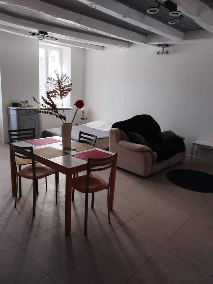 Appartement Neuf Avec Cour - Cluny