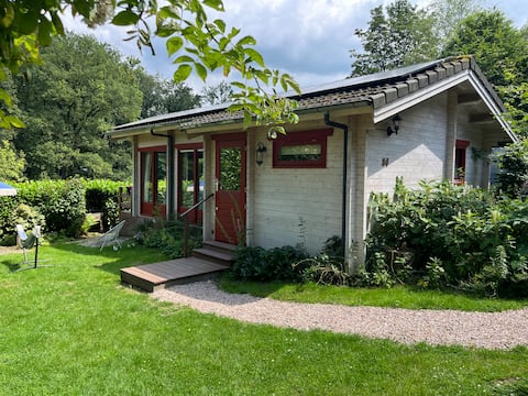 Wildlife spotting, lovely garden with hammock!