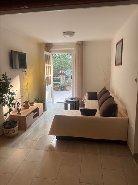 Successful Airbnb property: Real Dalmatia - Sokolić, Vela Luka in Općina Vela Luka