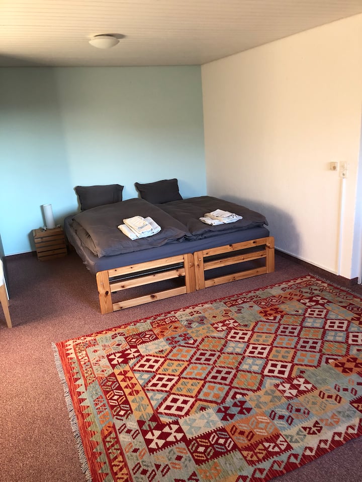Sehemu ya kulala yenye vitanda 2 na kitanda cha sofa (mtu 1)