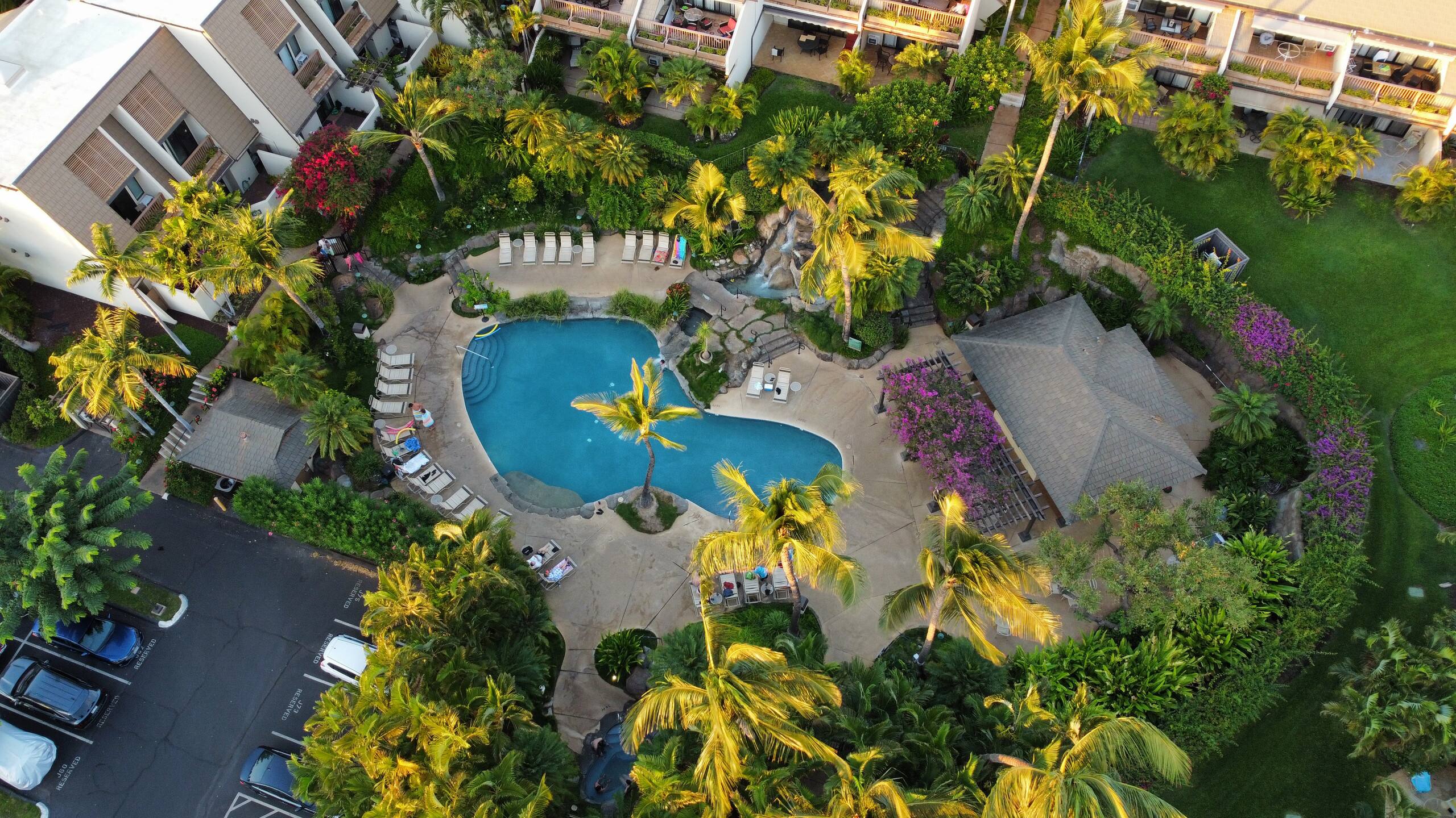 Condo in Kihei · ★5.0 · 2 bedrooms · 3 beds · 2 private baths - Image 29