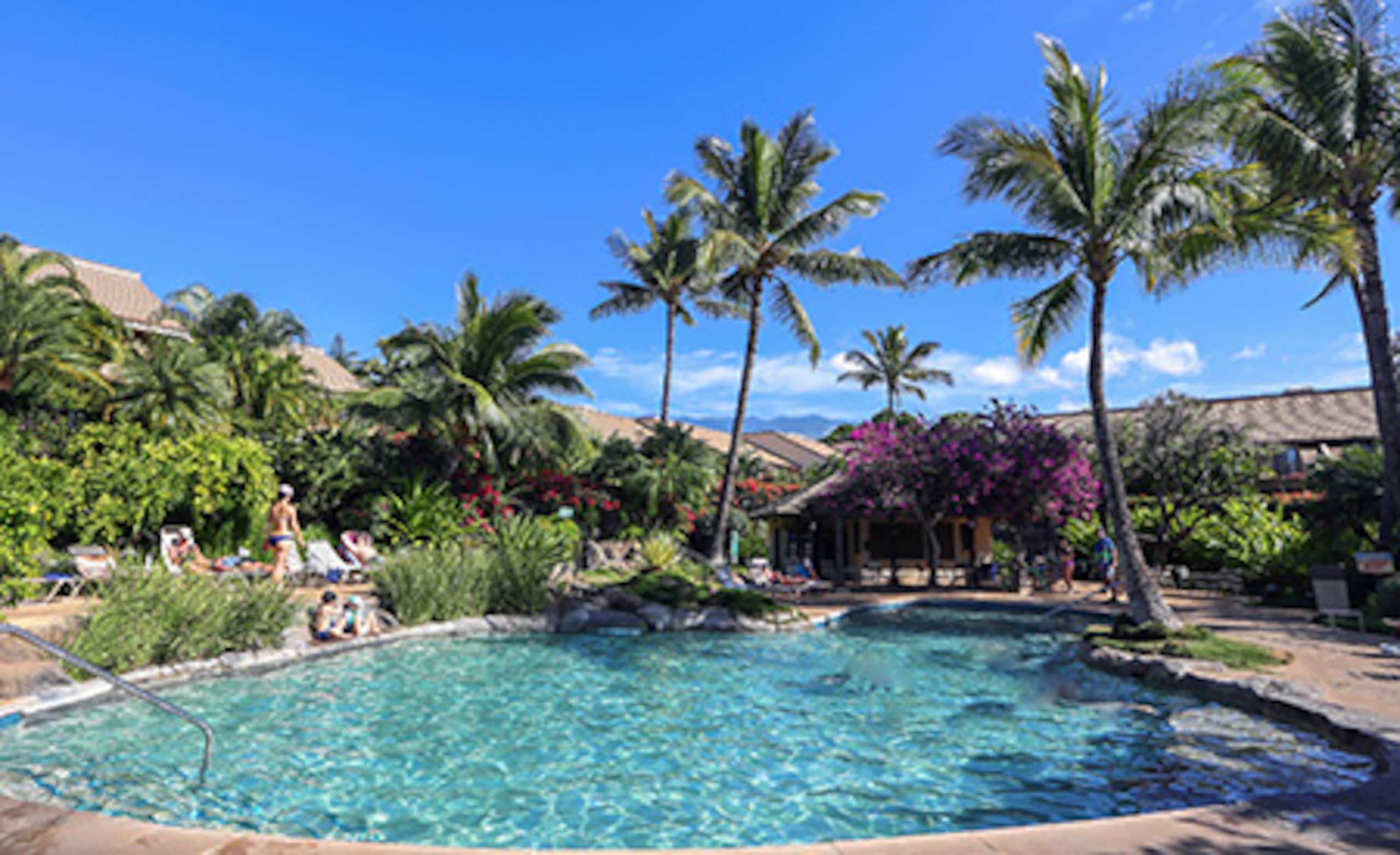 Condo in Kihei · ★5.0 · 2 bedrooms · 3 beds · 2 private baths - Image 28