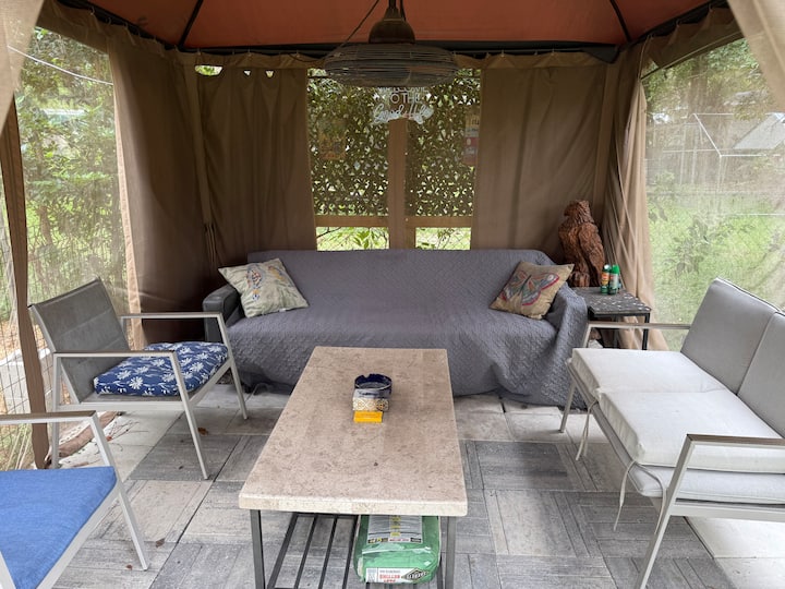 Smurfy: Full Size Murphy Bed, 50" Tv+streams - Gainesville, FL