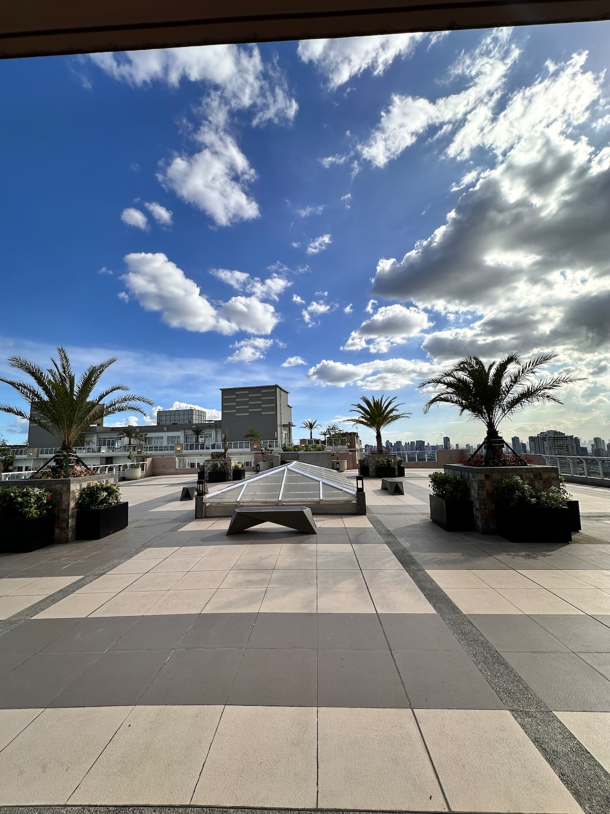 A spacious sky deck is shown, featuring palm trees and planters filled with greenery. The deck's flooring comprises large tiles in varying shades, and a clear blue sky with scattered clouds forms the backdrop, offering a panoramic view of the surrounding cityscape.
