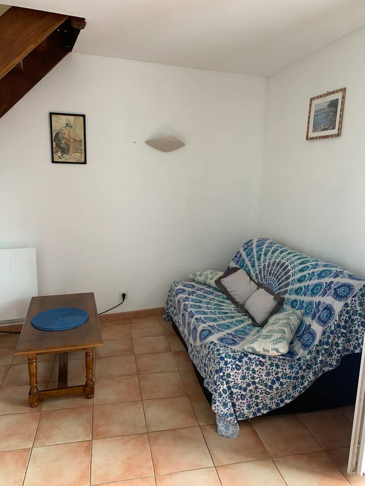 Maison, Jardin, Entre Saint-malo/cancale .Chien Ok - Saint-Coulomb