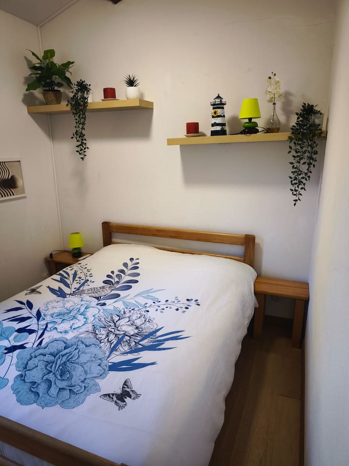 Habitación 2
