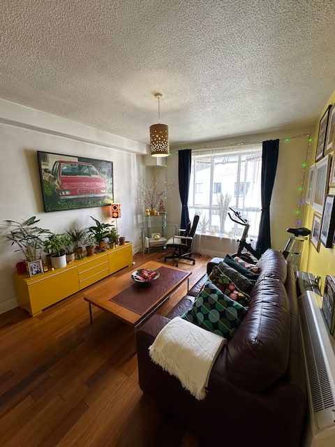 Popular Airbnb listing: Beautiful private city center apartment home. in North City Centre