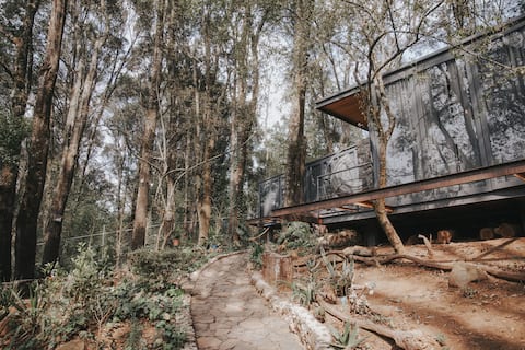 Full property 3 suites and terrace in the woods