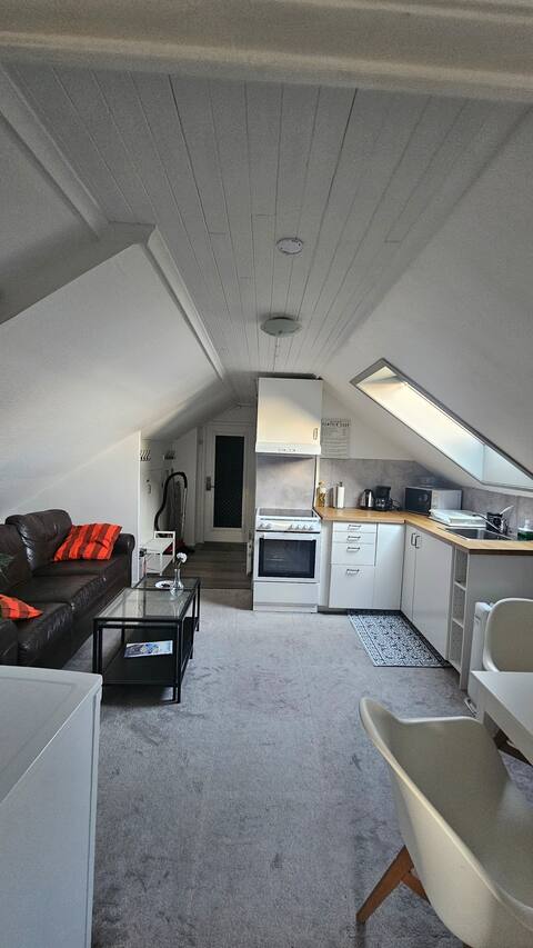Top performing Airbnb: Cosey 1 bedroom loft with free parking in Hillevåg