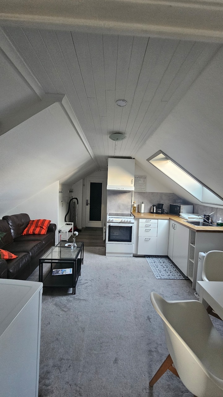 Cosey 1 Bedroom Loft With Free Parking - 斯塔萬格
