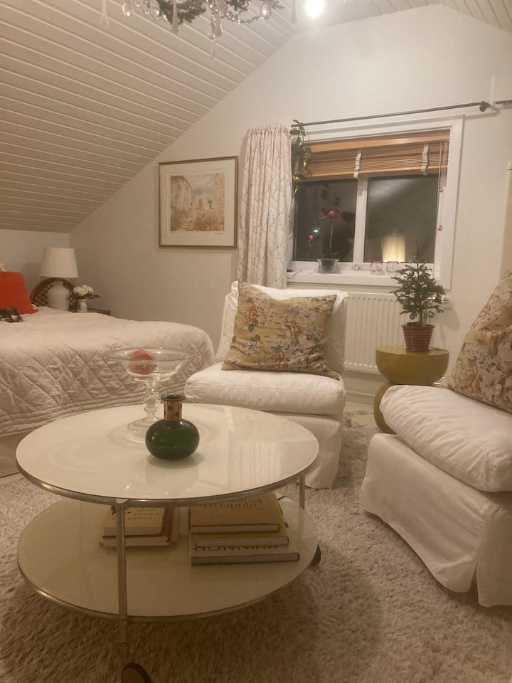 Combinación pacífica de zona de dormitorio y salón