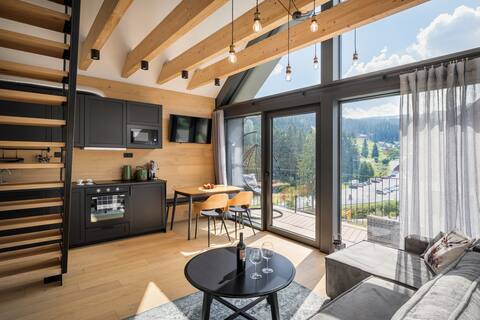Loft Snezka - stunning view, balcony and parking