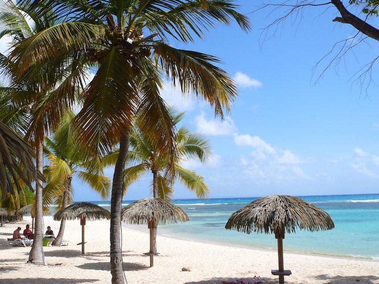 A serene beach scene is depicted, featuring several palapas with thatched roofs set along a sandy shore. Lush palm trees provide shade, and the calm, clear water gently laps at the beach, with a blue sky and white clouds overhead.