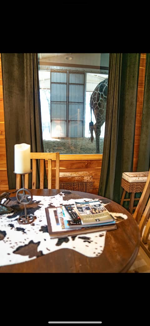 Giraffe Stay Pitchfork & Pool @ Oak Meadow Ranch