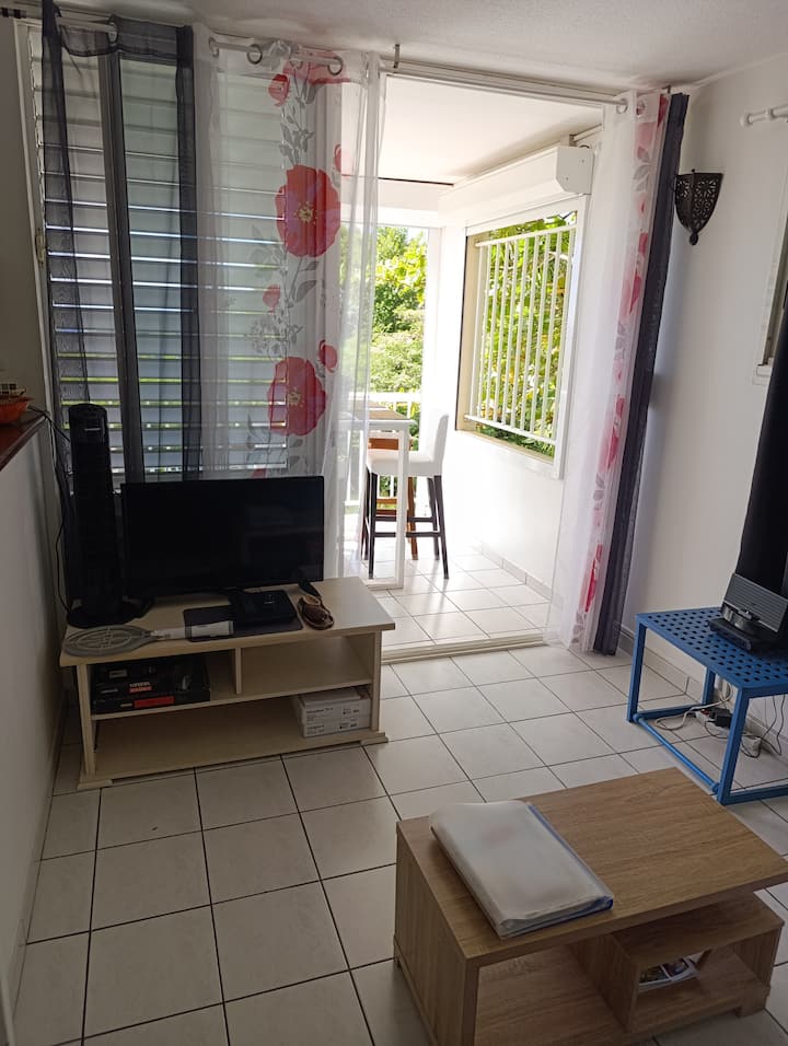 Didine 1chambre Magnifique Vue Mer Et Proche Plage - 마르티니크