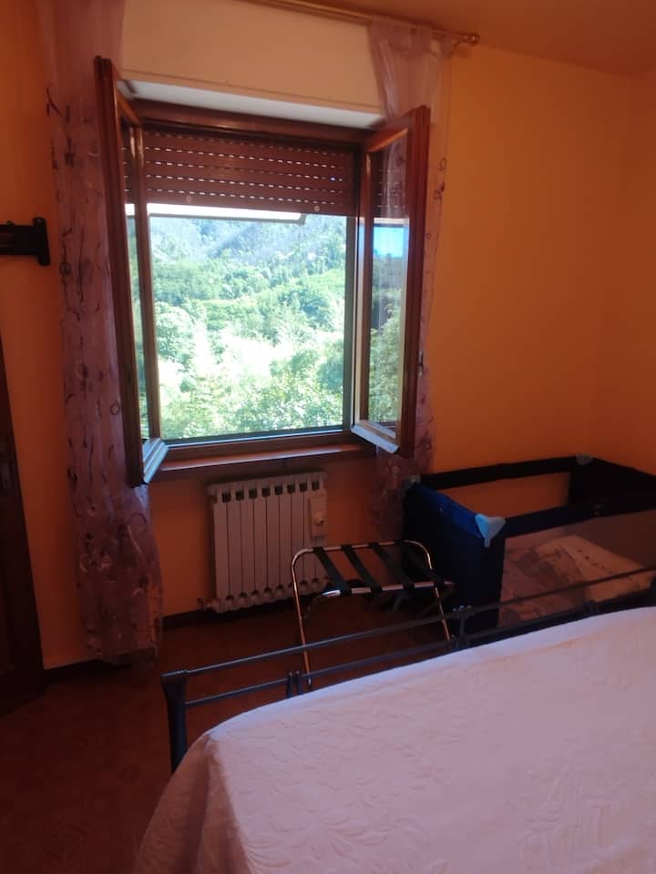 Habitación 2