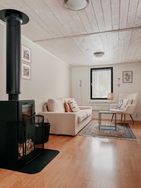 Luxurious red cottage with wood stove near lake