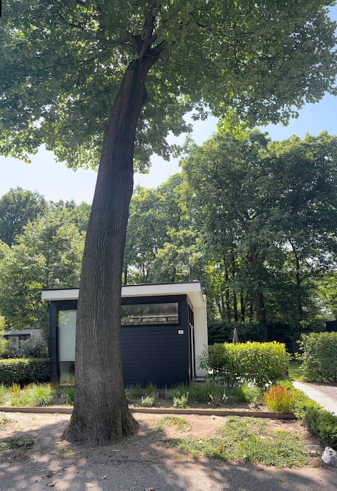 Two Oaks, enjoy under 2 American oaks