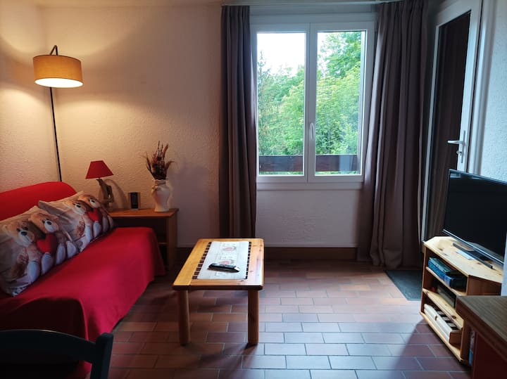 Briançon Appartement Cosy - Briançon