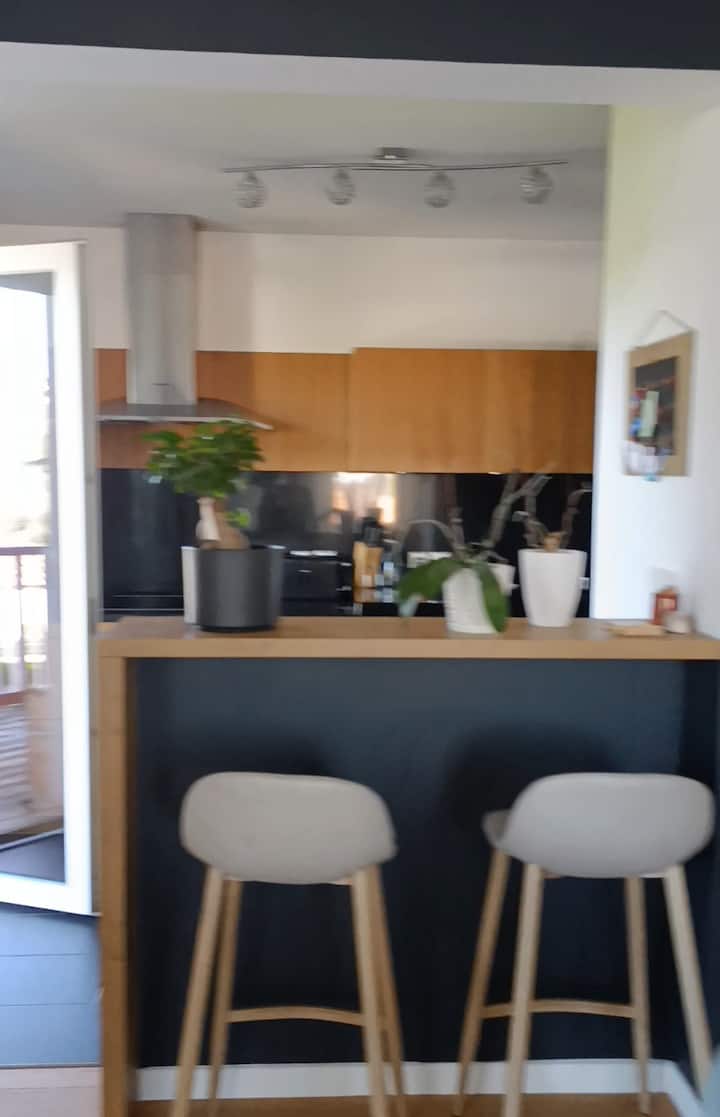 Superbe Appartement Dans Village Basque - País Vasco francés
