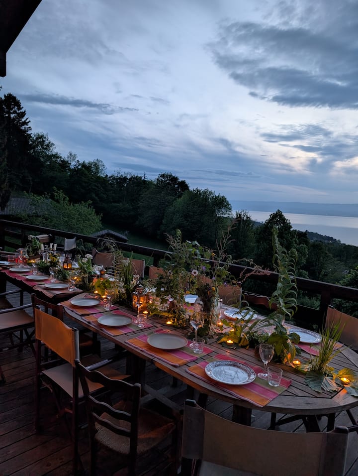 Large chalet overlooking Lake Geneva - Houses for Rent in Lugrin
