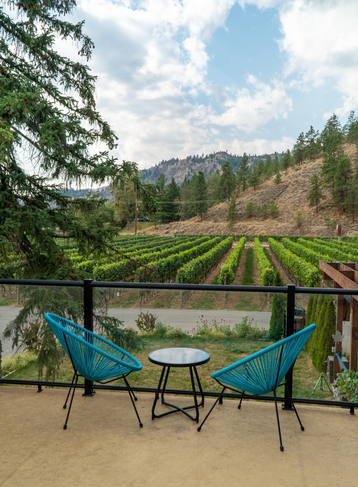 A tranquil patio area features two decorative chairs and a small round table, overlooking rows of lush vineyards and gently rolling hills. The scene is framed by greenery and tall trees, creating a serene outdoor space for relaxation.