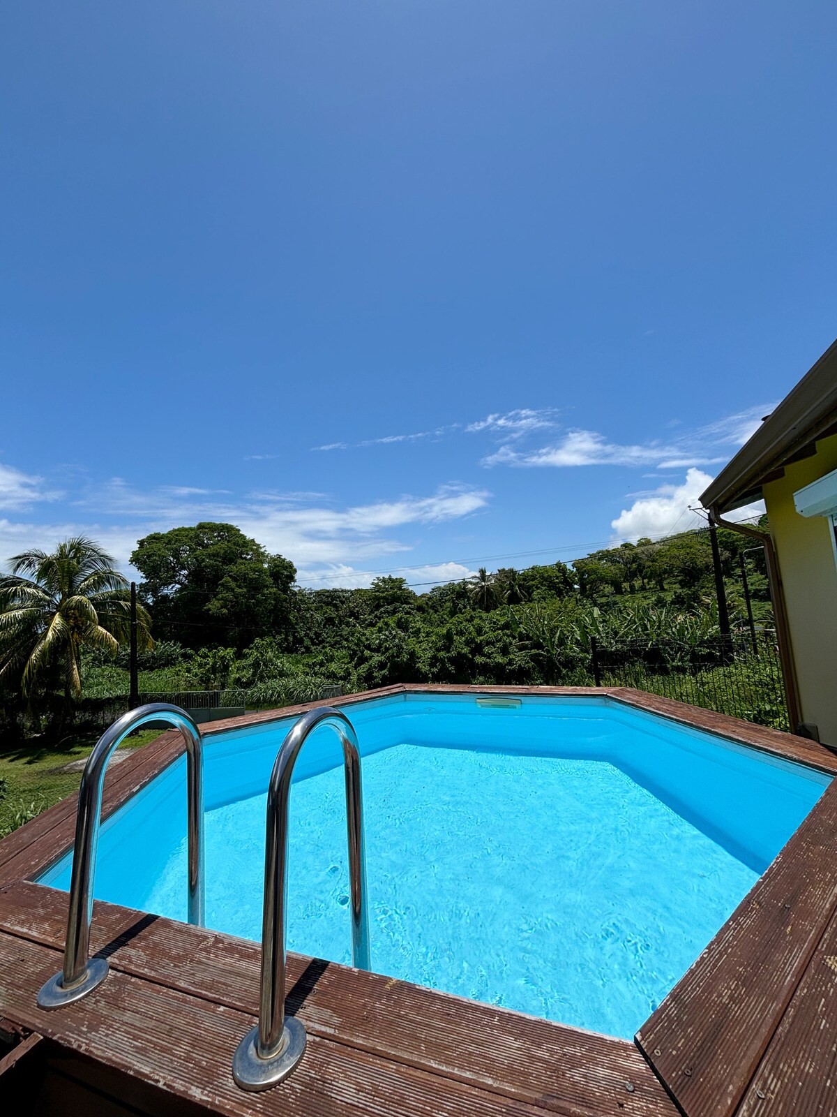 A refreshing, octagonal swimming pool is set against a clear blue sky and lush greenery. The pool features a wooden deck with metal handrails, providing easy access. Surrounding plants enhance the tranquil outdoor setting, creating a serene atmosphere.