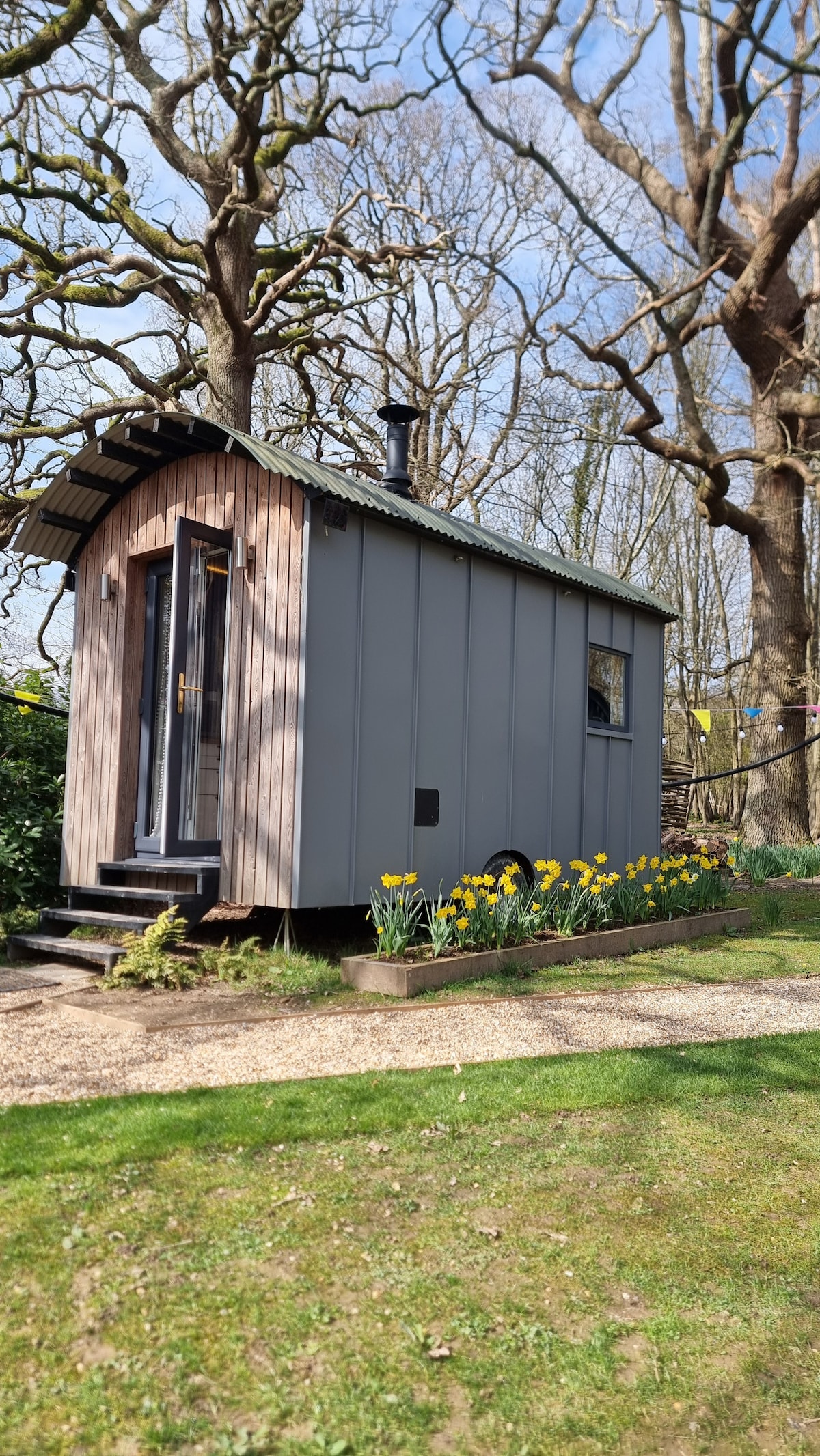 A luxury shepherd's hut is surrounded by blooming daffodils and lush green grass. The exterior showcases a combination of raised seam zinc and vertical larch cladding, with large windows allowing natural light to enter. Tall trees provide a natural canopy above.