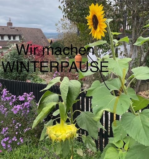 Between Neckarsteig and Neckar bike path