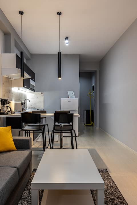 Modern Apartment 305